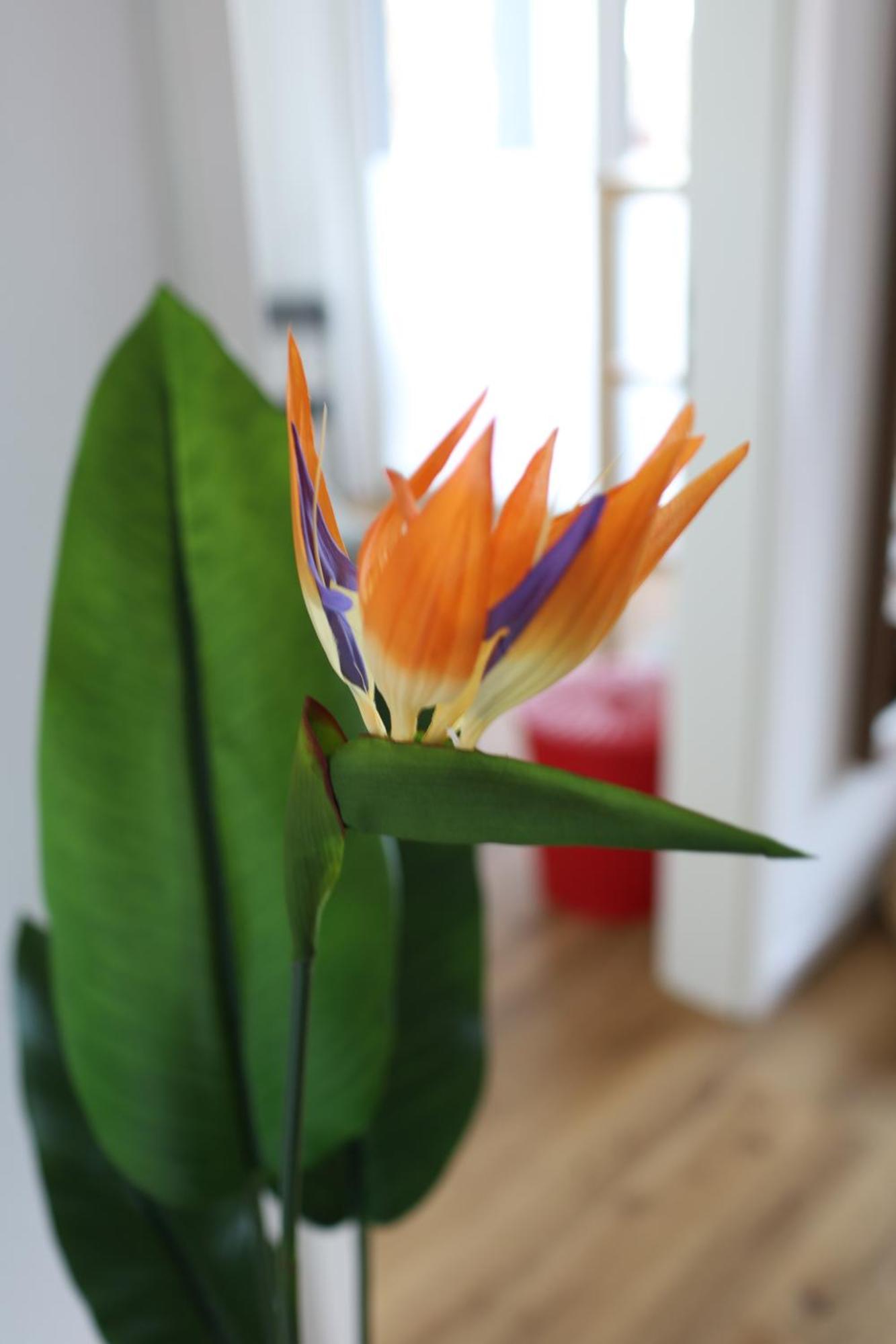 Apartment "London" In Erftstadt - 3 Zimmer & 63Qm - Nahe Koeln, Messe, Phantasialand & Bonn - Familienurlaub Oder Business Trip المظهر الخارجي الصورة